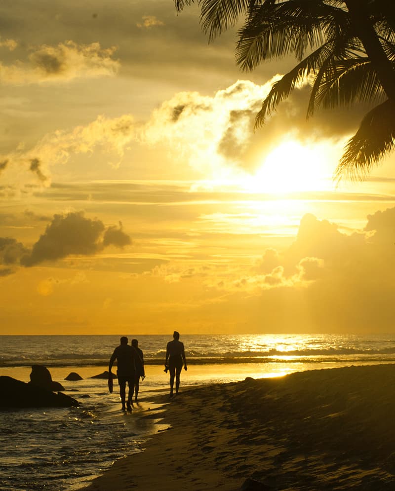 beach at sunset